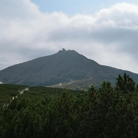 Penzion Lesni Pramen Pec pod Snezkou Εξωτερικό φωτογραφία
